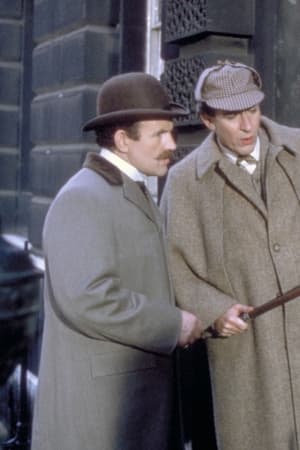 Soukromý život Sherlocka Holmese