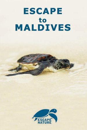 Escape to Maldives