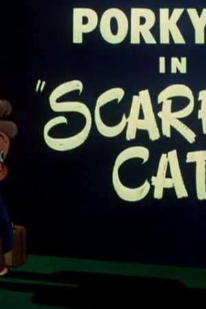 Scaredy Cat