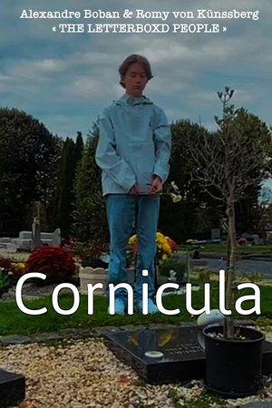 Cornicula