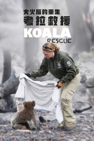 Koala Rescue