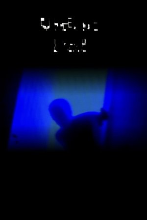 VIDEO PAL