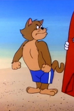 Beach Bully