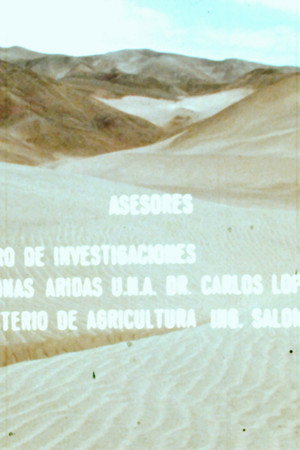 Las Arenas y el Hombre