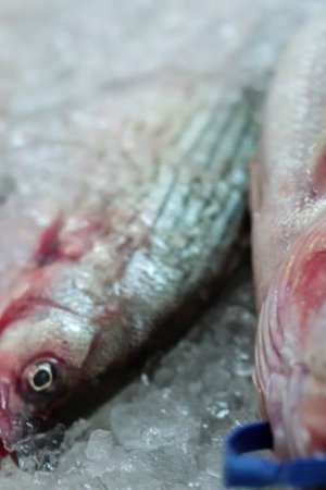 7. epizoda