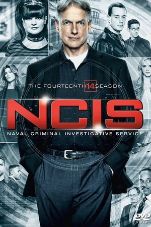 Season 14