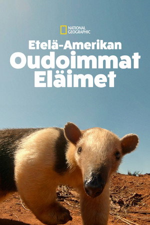 Etelä-Amerikan oudoimmat eläimet