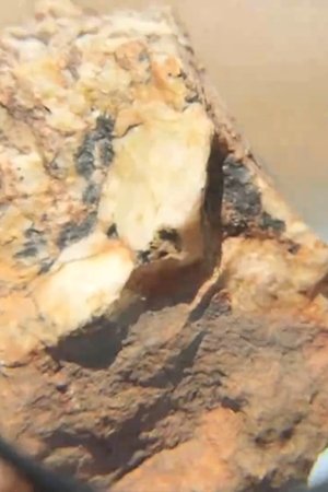 8. epizoda
