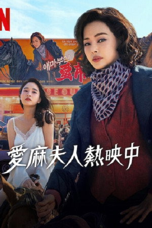 爱麻夫人