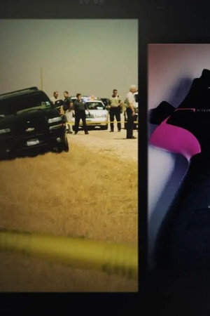 The Pink Gun Mystery