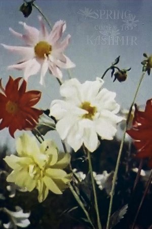 Spring Comes to Kashmir