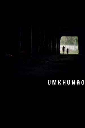Umkhungo