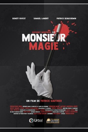 Monsieur Magie