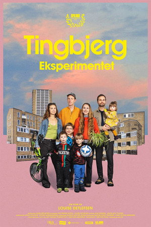 Tingbjergeksperimentet