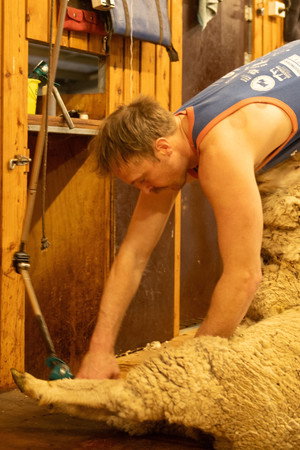Shearers, NSW