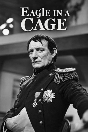 Eagle in a Cage