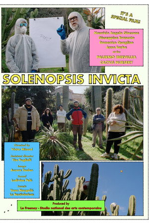Solenopsis invicta