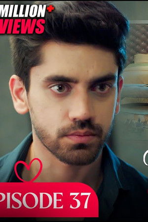 37. epizoda