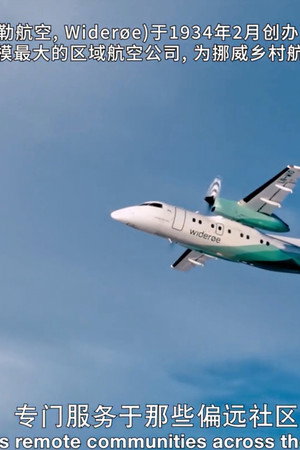 Deadly Charter (2001 Aspen Gulfstream III crash)