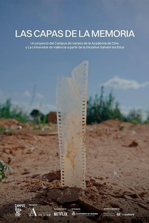Las capas de la memoria