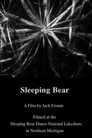 Sleeping Bear