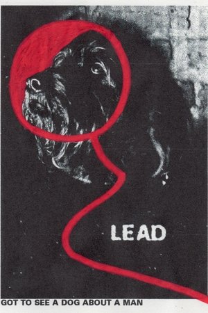 Lead