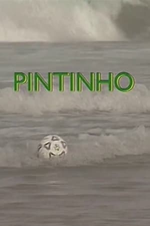 Pintinho