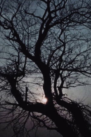 Street Film Part VII