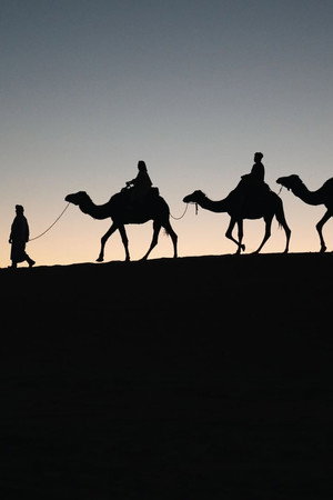 ...Only silk was transported on the Silk Road?