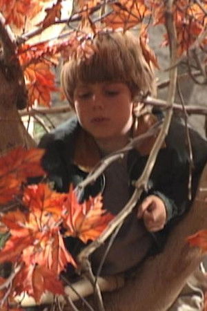 Kde je vůle, tam je i cesta