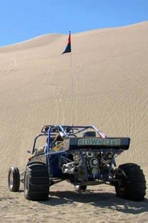 Looney Dunes