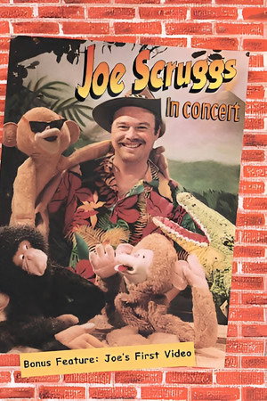 Joe Scruggs in Concert
