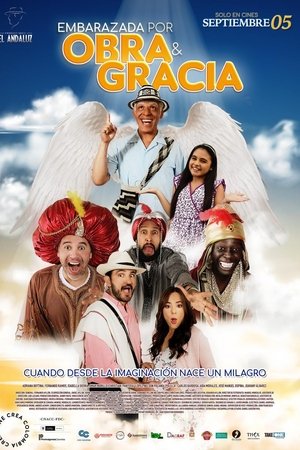 Embarazada por obra y gracia