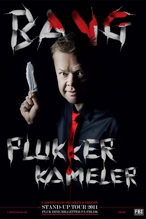 Carsten Bang: Plukker Kameler