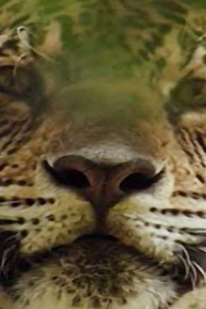 5. epizoda