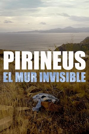 Pirineus, el mur invisible