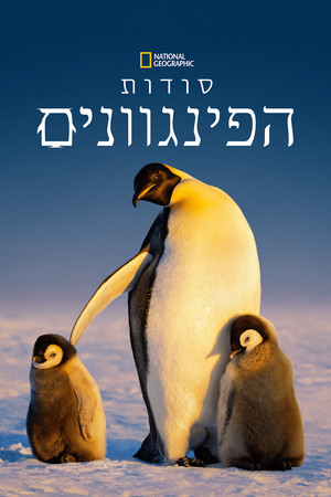 סודות הפינגווינים