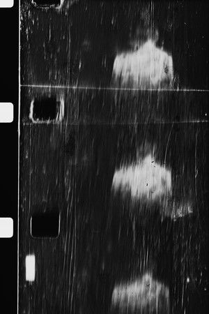 (for once I dreamed of you)