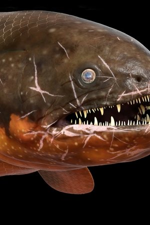 3. epizoda