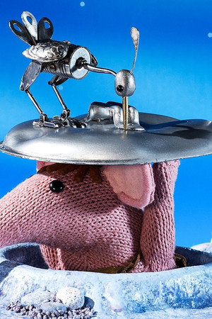 The Tin Bird