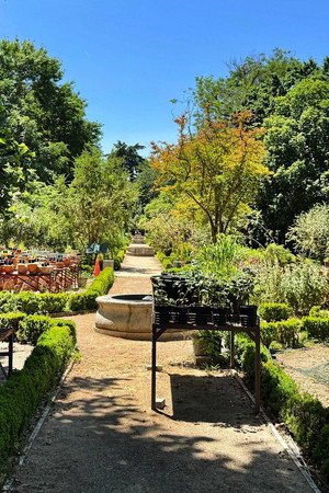 The Royal Botanic Garden of Madrid