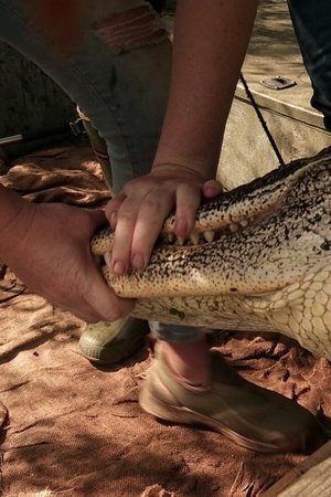4. epizoda