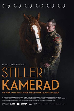 Stiller Kamerad