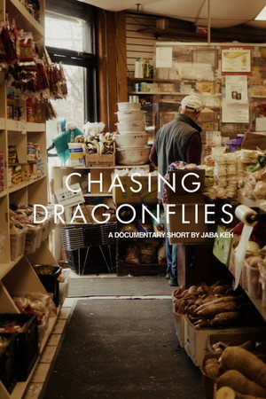 Chasing Dragonflies