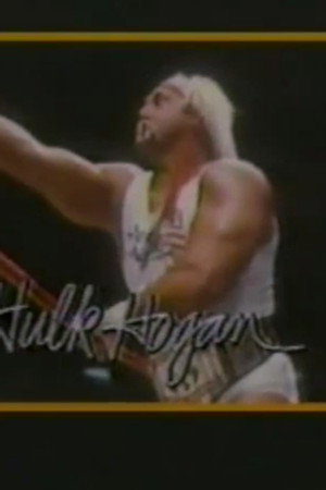 February 14, 1987 - Superstars of Wrestling #24
