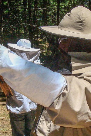 Beekeeping. Trikes. Body Armour