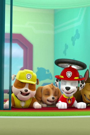 Pups Get Stuck