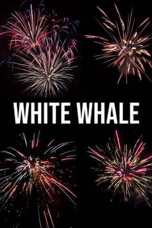 White Whale