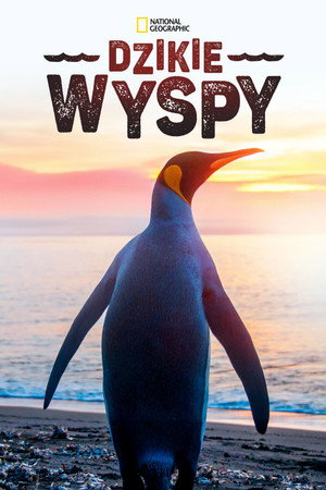 Dzikie wyspy