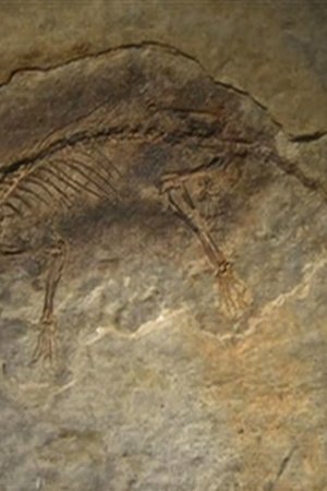 4. epizoda